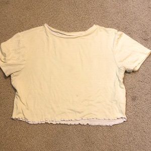 Pacsun Basics cropped T Shirt